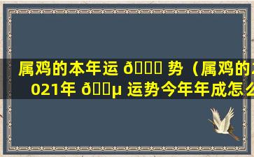 属鸡的本年运 🐋 势（属鸡的2021年 🌵 运势今年年成怎么样）